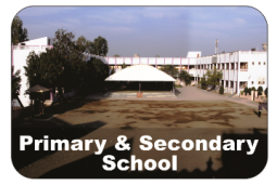 sadhu vasvani school